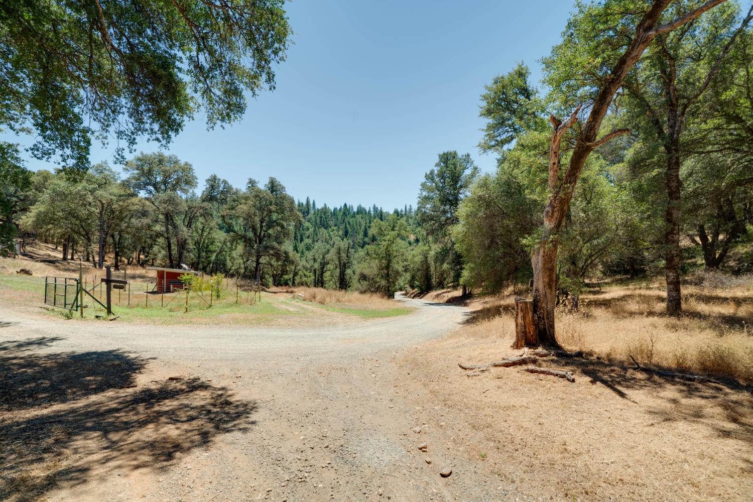 7071 Bayne Road Placerville, CA 95667 - Photo 55 of 61