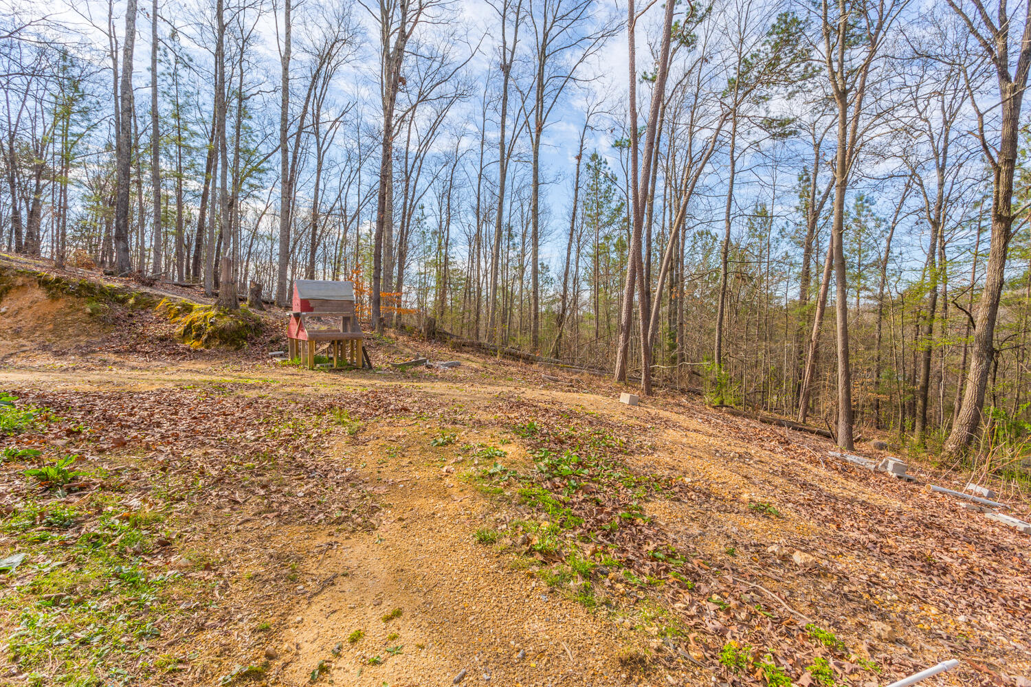 124 Roach Hollow Road Ringgold, GA 30736 - Photo 32 of 52 124 Roach Hollow HD-7