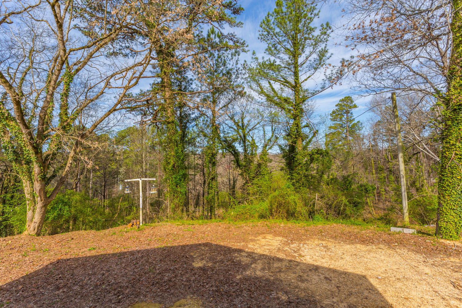 124 Roach Hollow Road Ringgold, GA 30736 - Photo 34 of 52 124 Roach Hollow HD-16