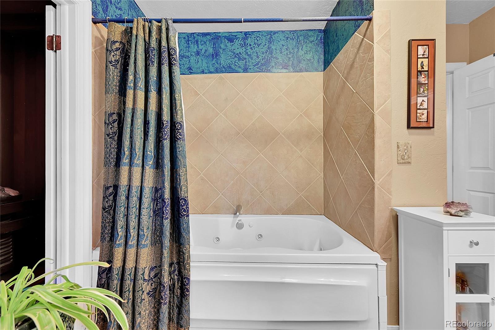 29832 Dorothy Road Evergreen, CO 80439 - Photo 11 of 42 Gallery Image 11