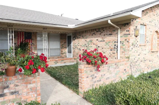 a view of a potted plant sitting in front of a house