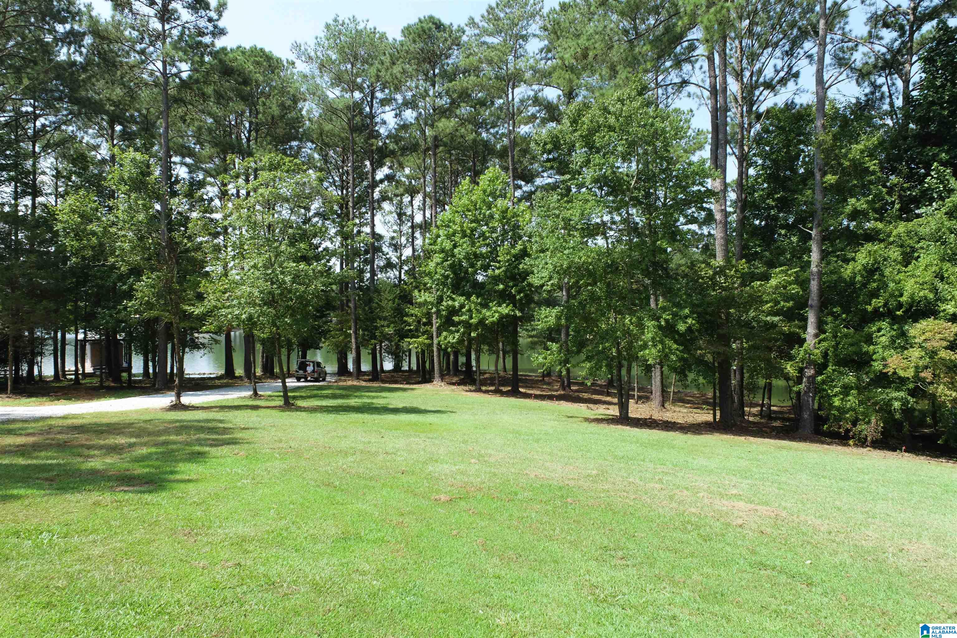 0 Wylie Road Wedowee, AL 36278 - Photo 1 of 10