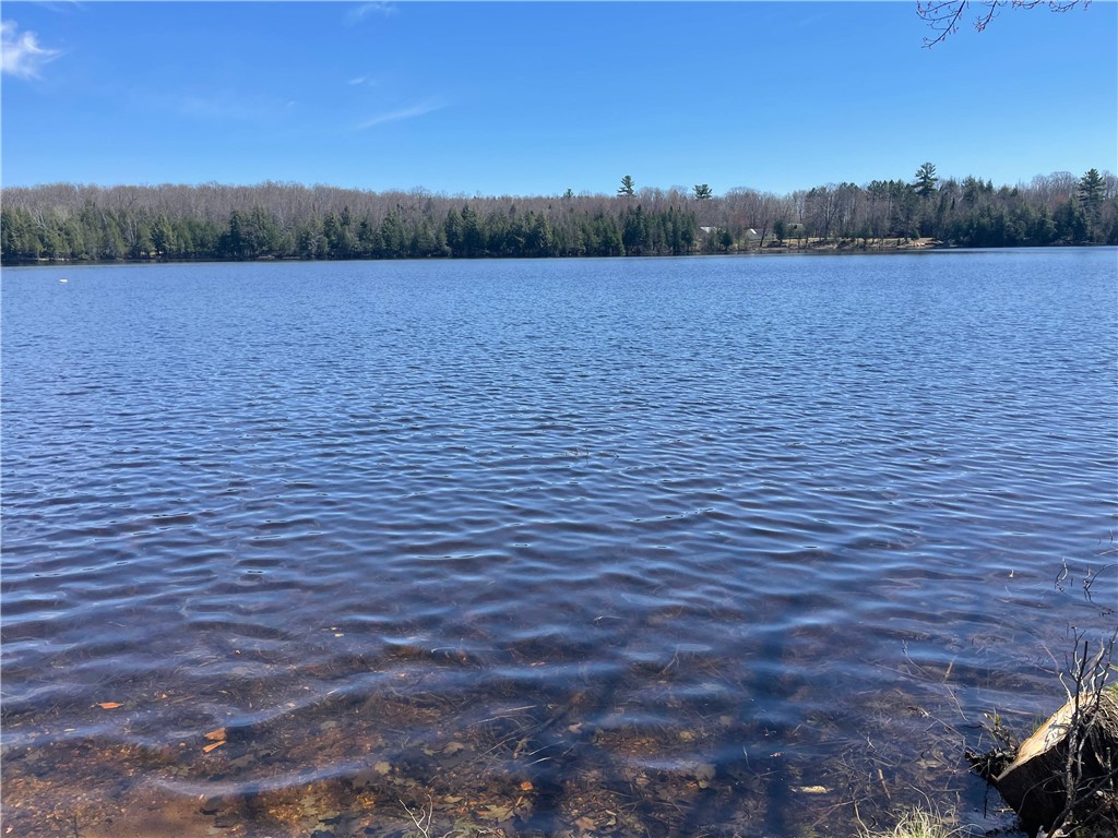 23165 Joy Villa Road, Unit 6 Glidden, WI 54527 - Photo 6 of 40