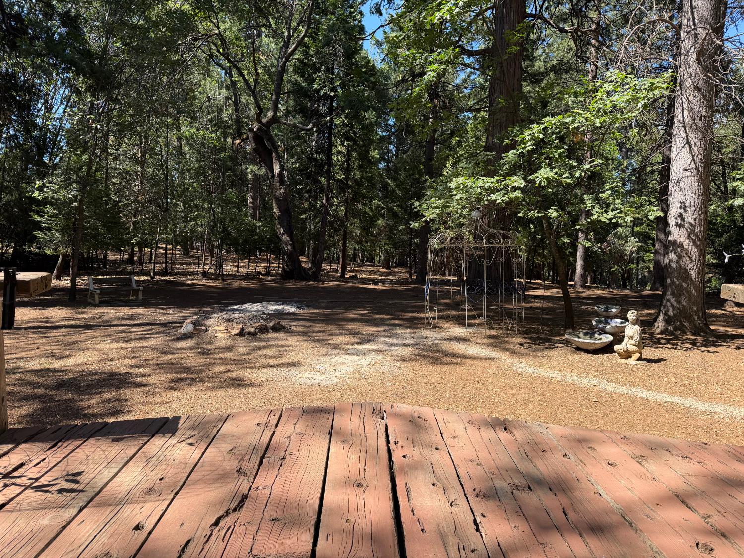 5695 Juarez Road Pollock Pines, CA 95726 - Photo 4 of 55