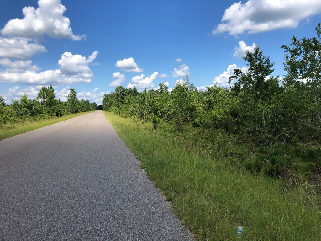 0 Old Chalk Bed Road Batesburg, SC 29006 - Photo 2 of 2