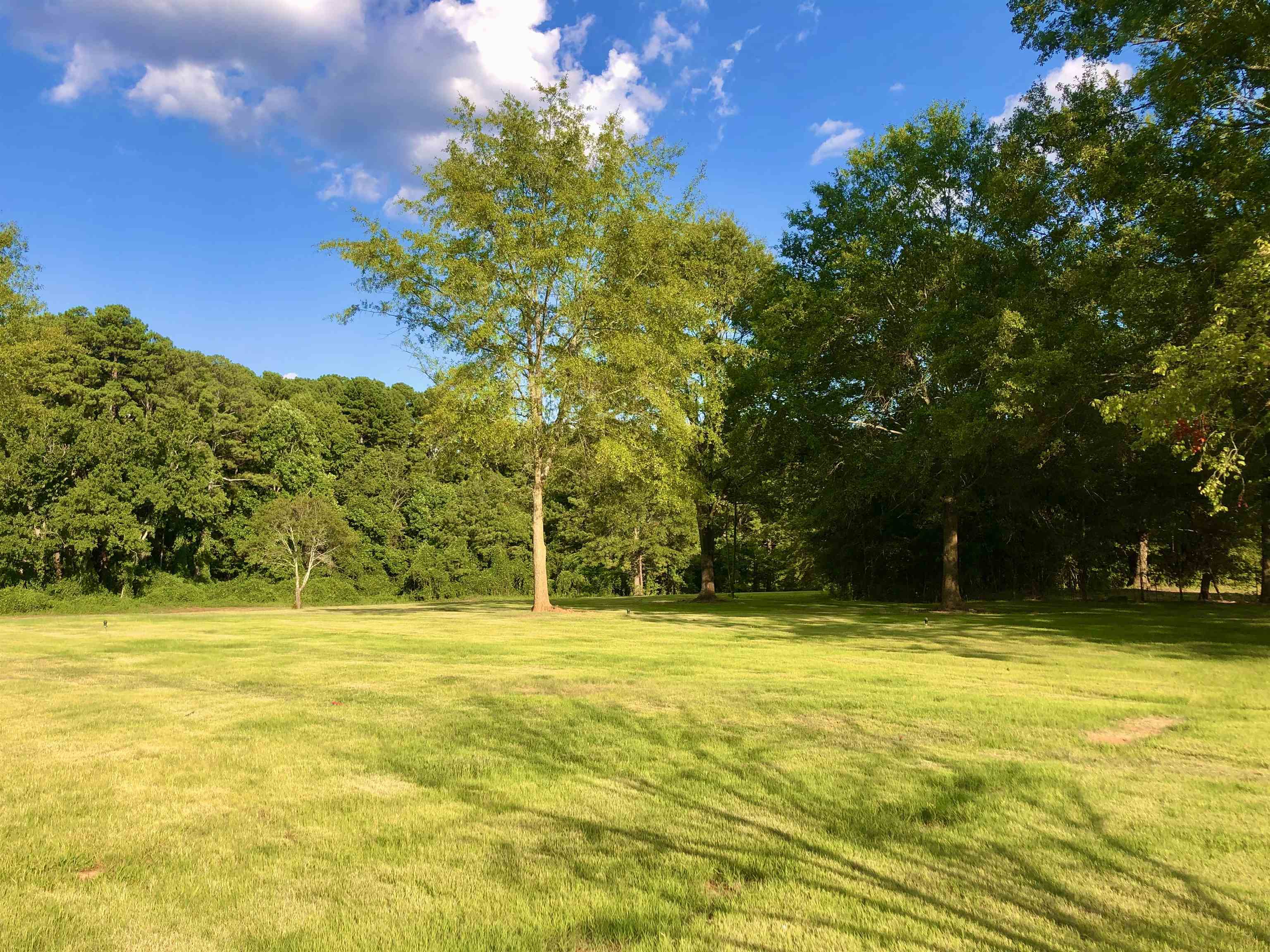 329 Thompson Road Chesnee, SC 29323 - Photo 23 of 25 Gallery Image 23