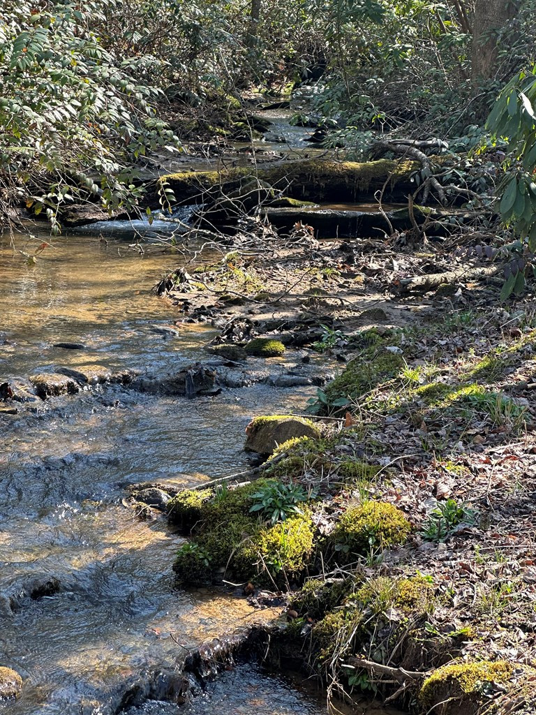 140 Old Whitener Road Murphy, NC 28906 - Photo 8 of 60