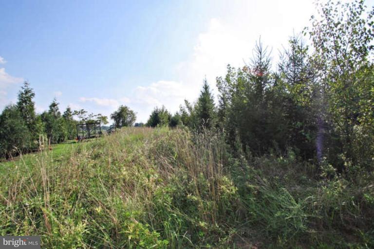Fulton Ridge Drive Fulton, MD 20759 - Photo 5 of 9 Wooded View / Acreage 3