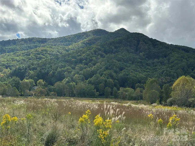a view of a dry yard with mountains