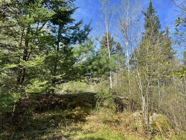 W8263 County Road Pembine, WI 54156 - Photo 3 of 17