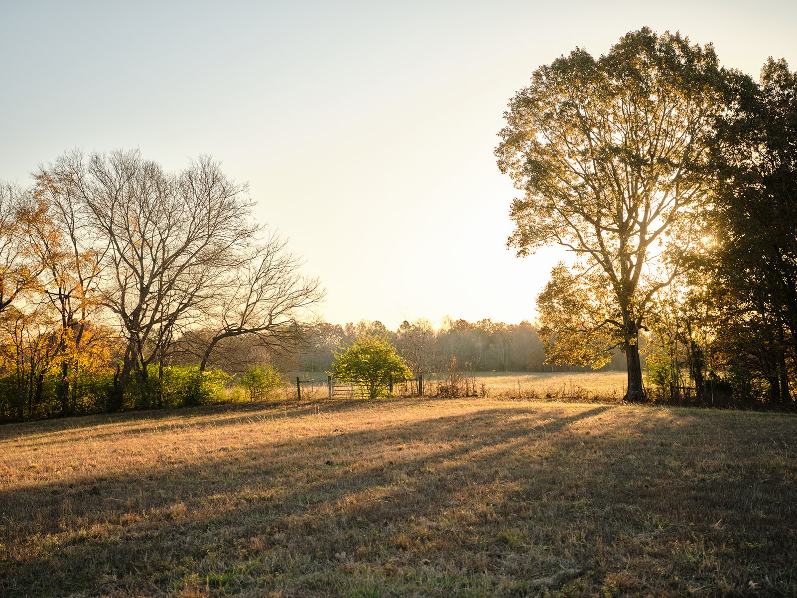 7725 Caney Fork Road Fairview, TN 37062 - Photo 2 of 58