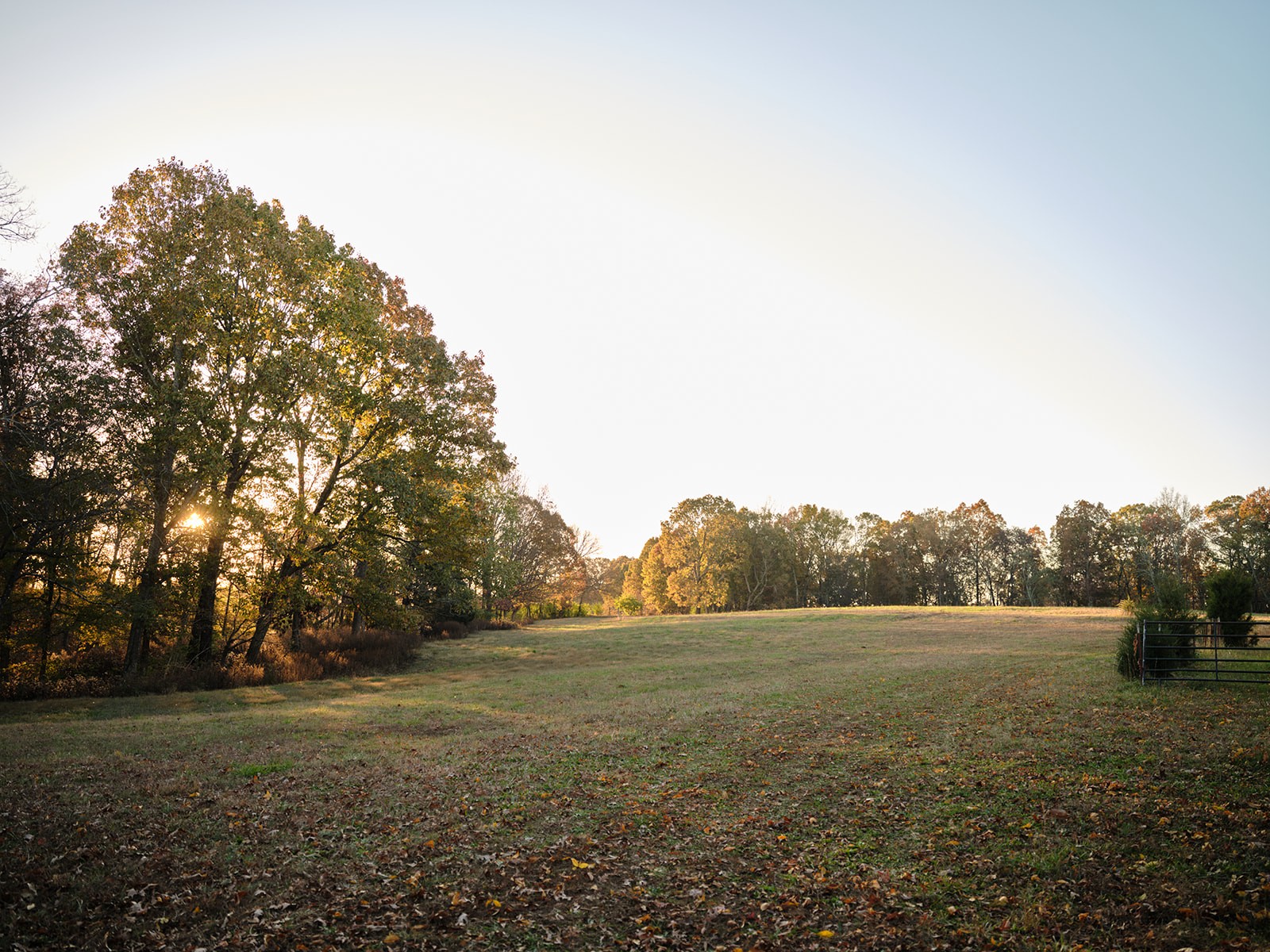 7725 Caney Fork Road Fairview, TN 37062 - Photo 28 of 58 a view of outdoor space and yard