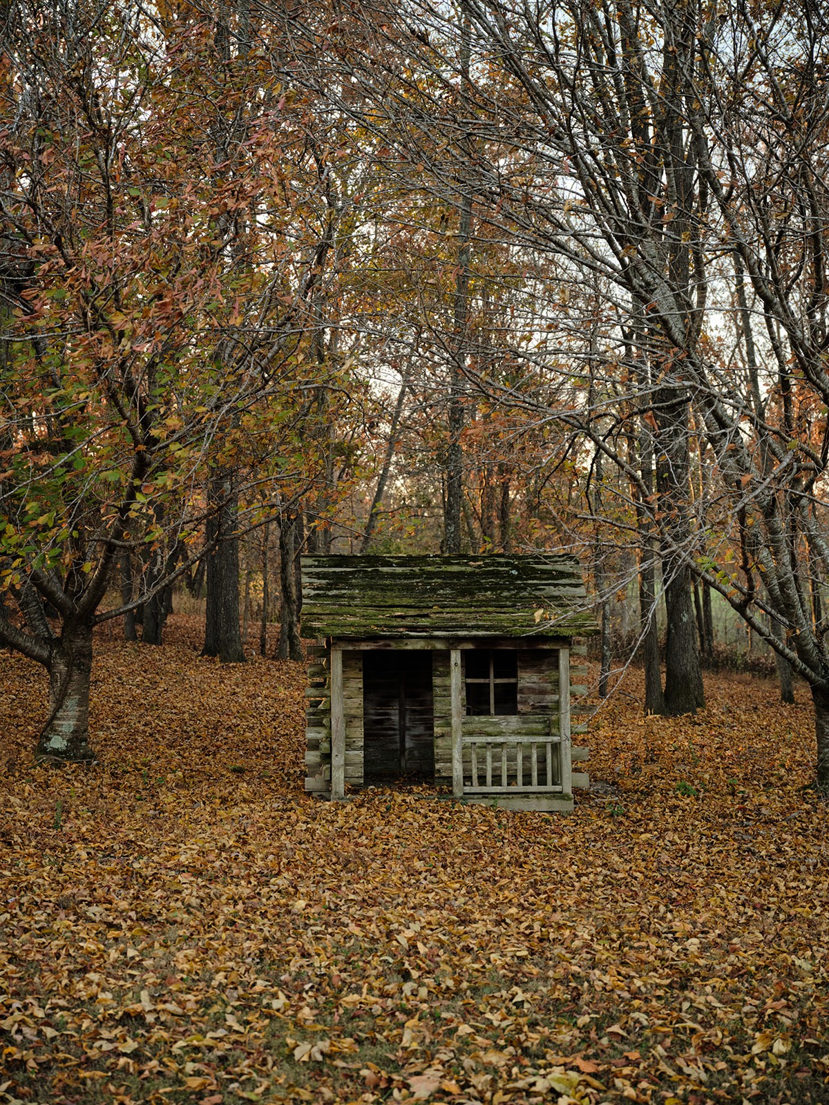 7725 Caney Fork Road Fairview, TN 37062 - Photo 35 of 58