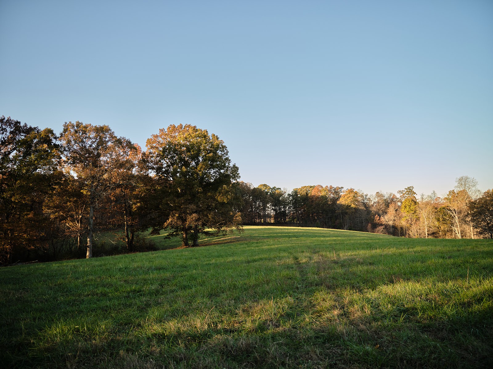 7725 Caney Fork Road Fairview, TN 37062 - Photo 37 of 58