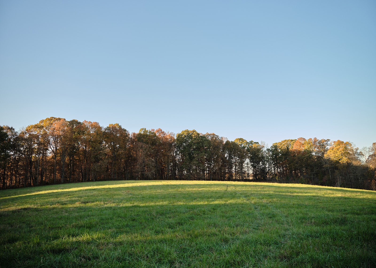 7725 Caney Fork Road Fairview, TN 37062 - Photo 4 of 58 a view of grassy field