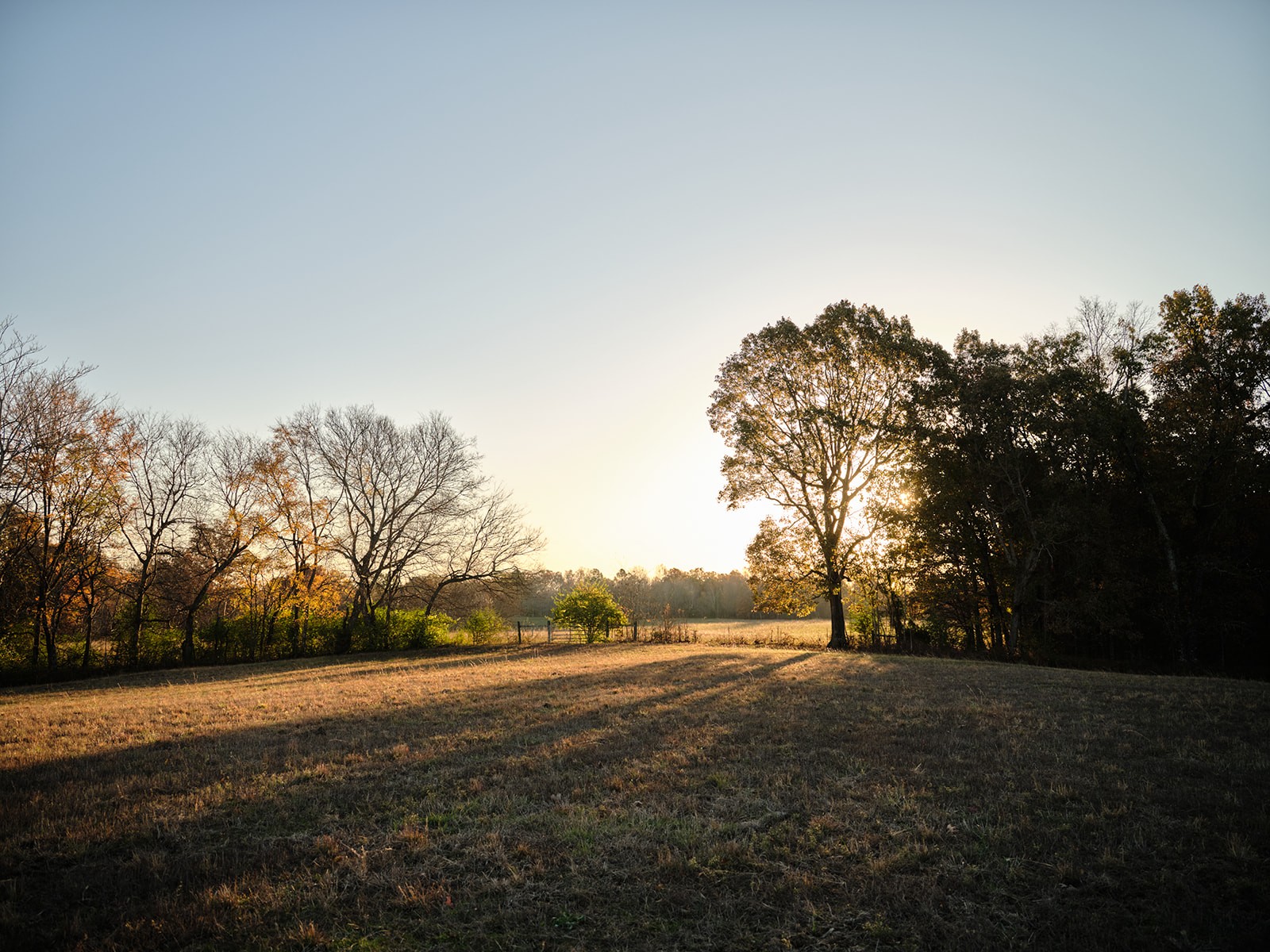 7725 Caney Fork Road Fairview, TN 37062 - Photo 41 of 58