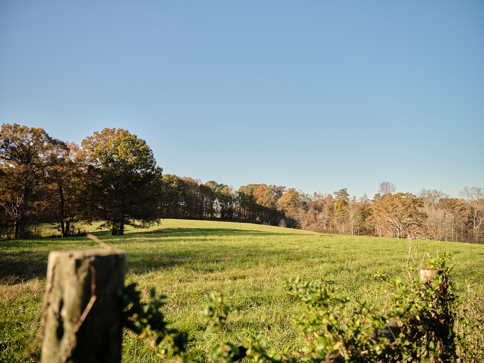 7725 Caney Fork Road Fairview, TN 37062 - Photo 42 of 58