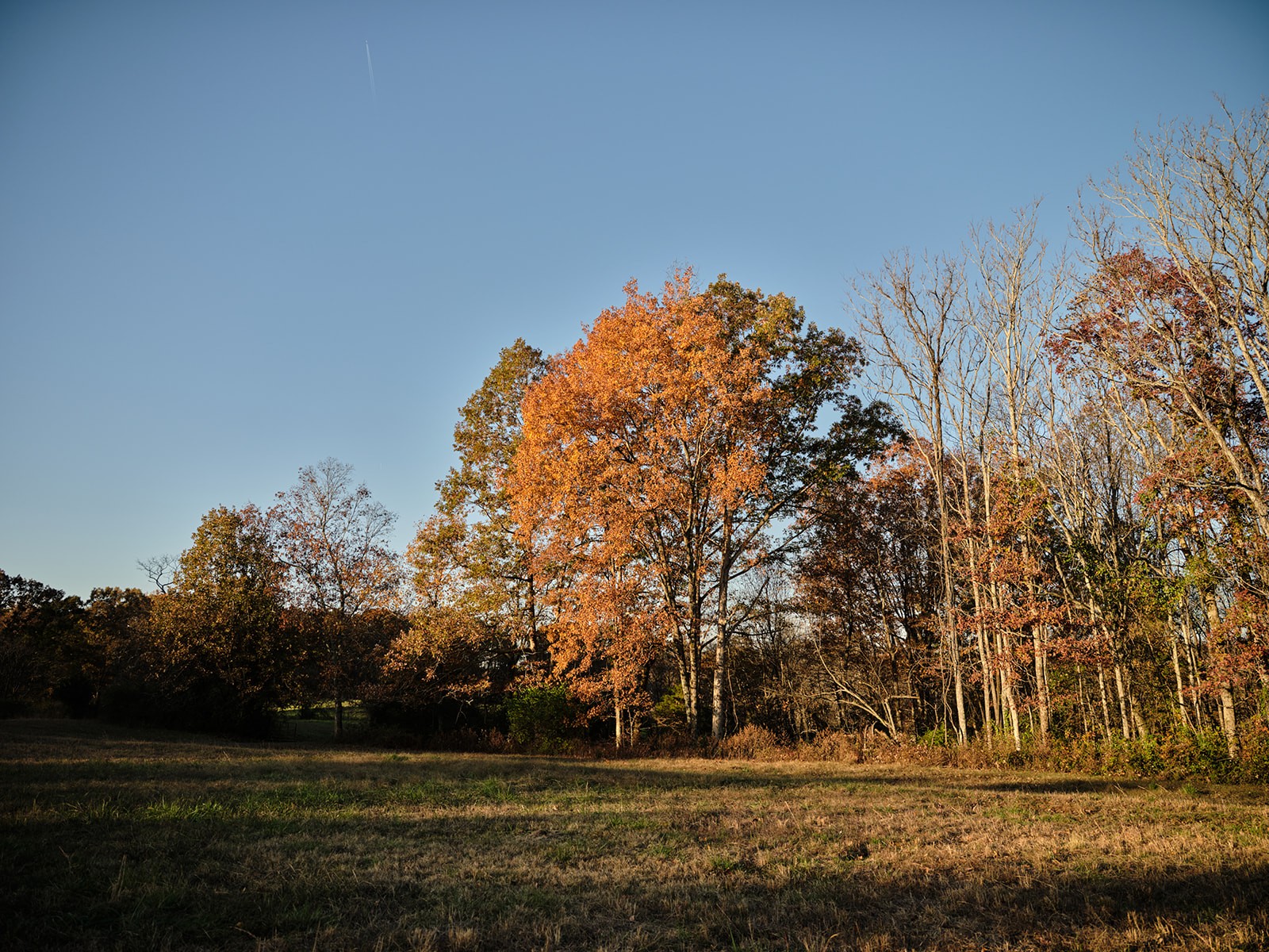 7725 Caney Fork Road Fairview, TN 37062 - Photo 43 of 58