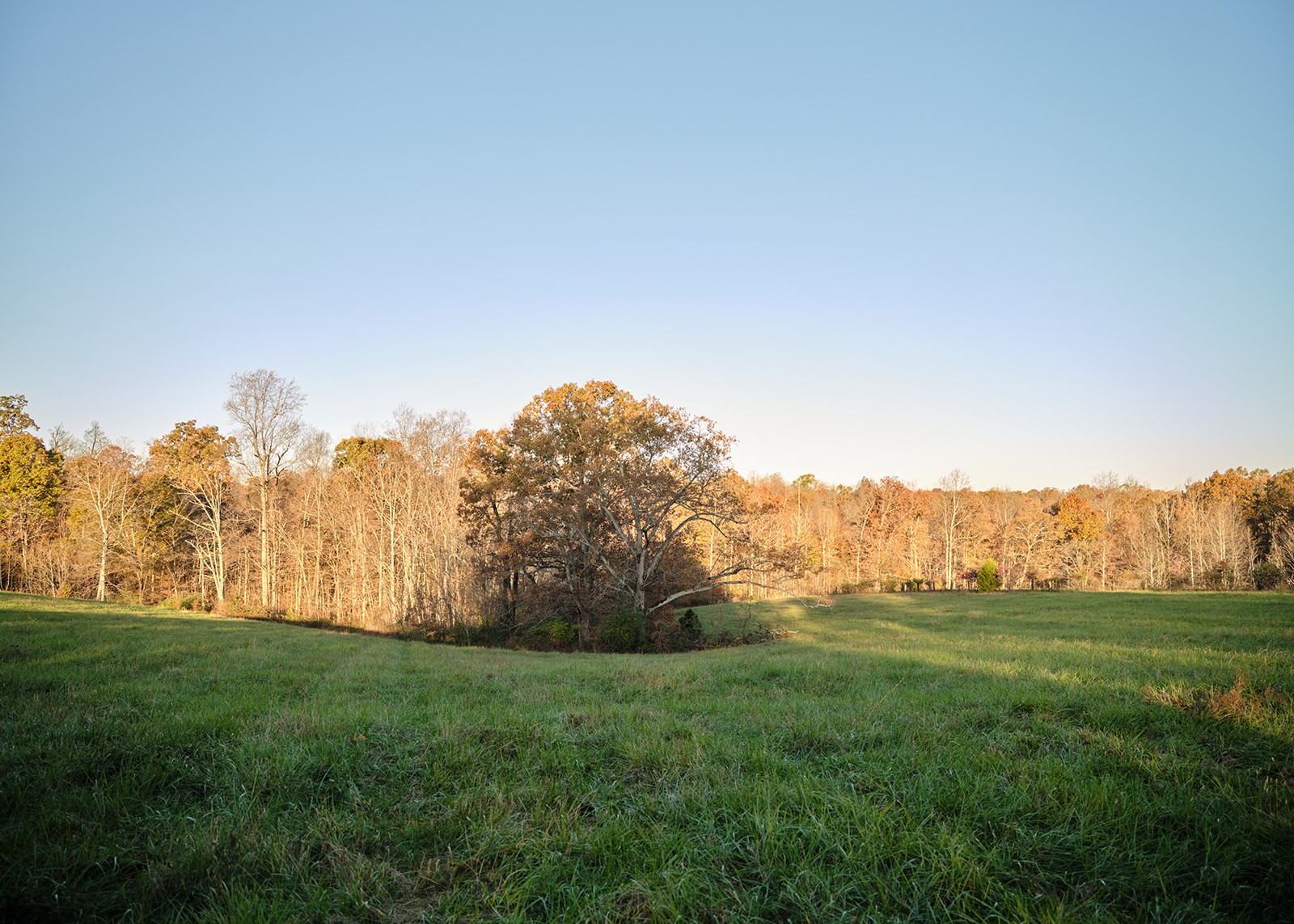 7725 Caney Fork Road Fairview, TN 37062 - Photo 44 of 58