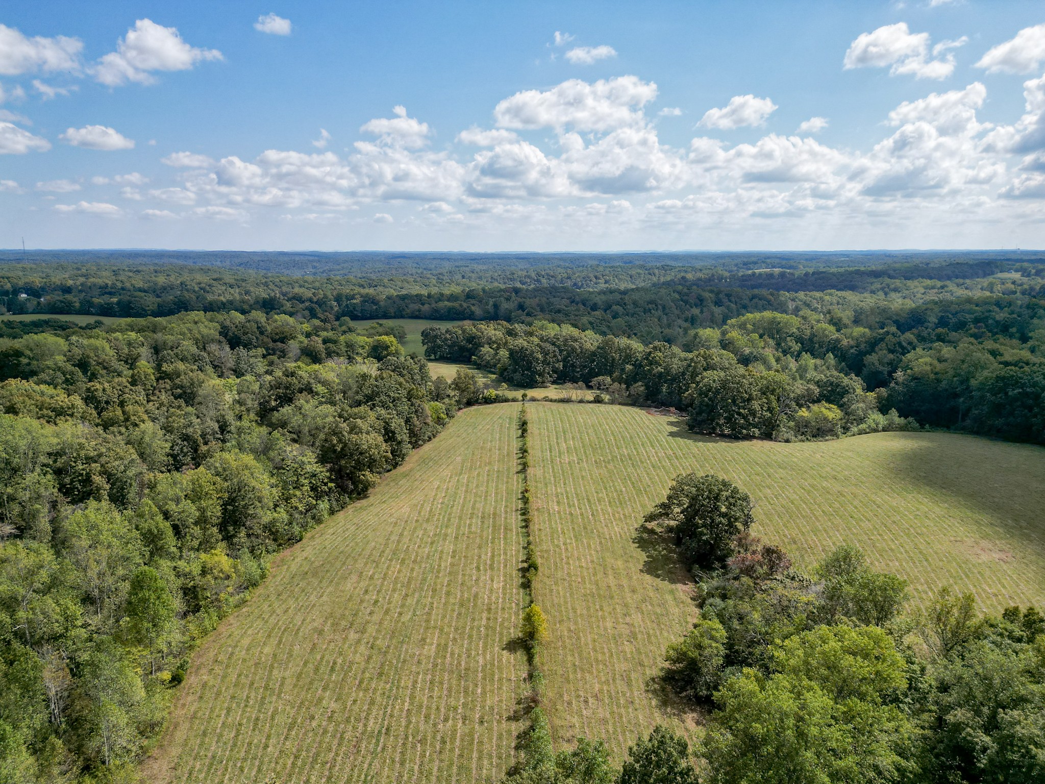 7725 Caney Fork Road Fairview, TN 37062 - Photo 46 of 58 a view of a swimming pool and lake view