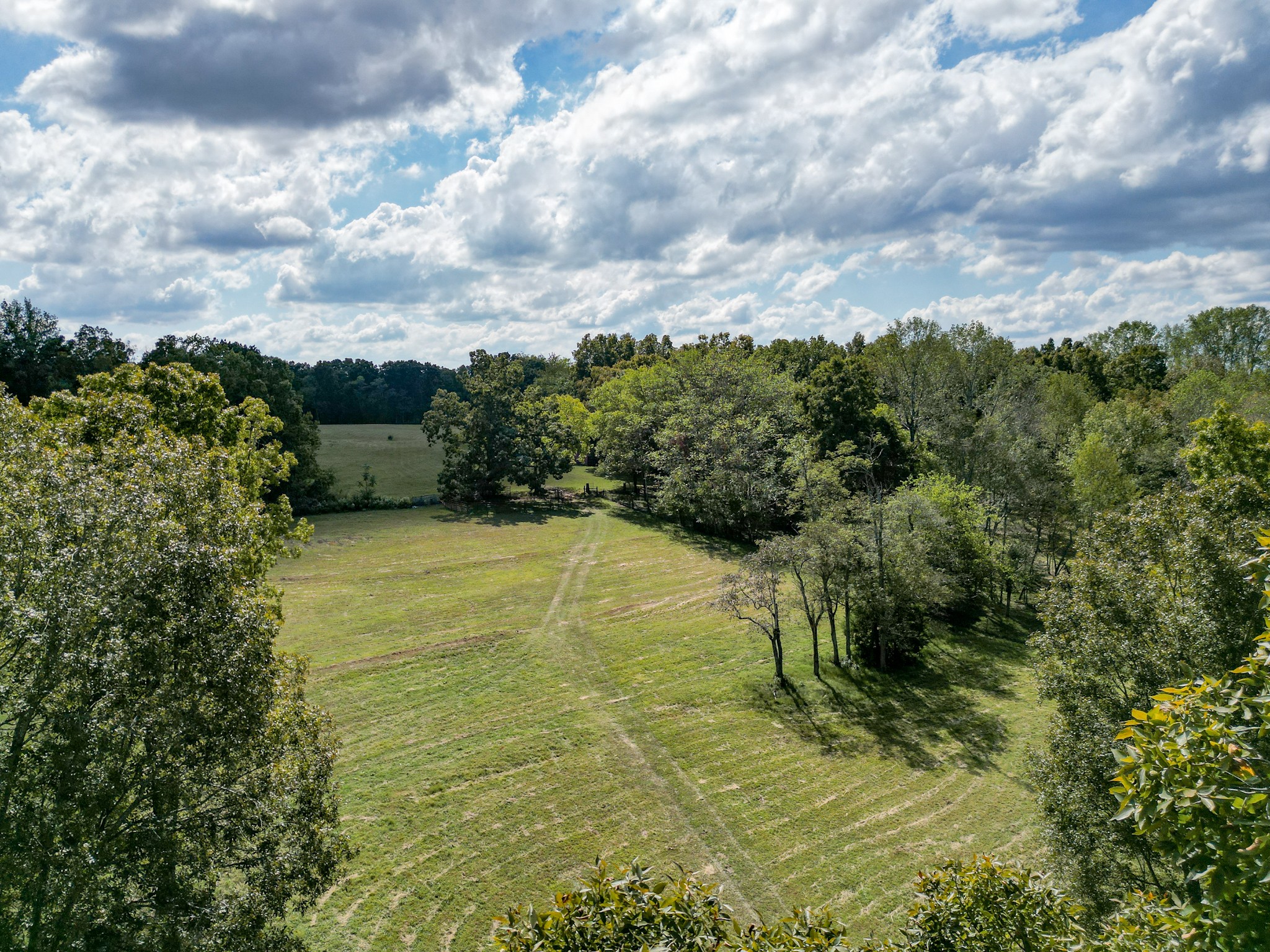 7725 Caney Fork Road Fairview, TN 37062 - Photo 49 of 58
