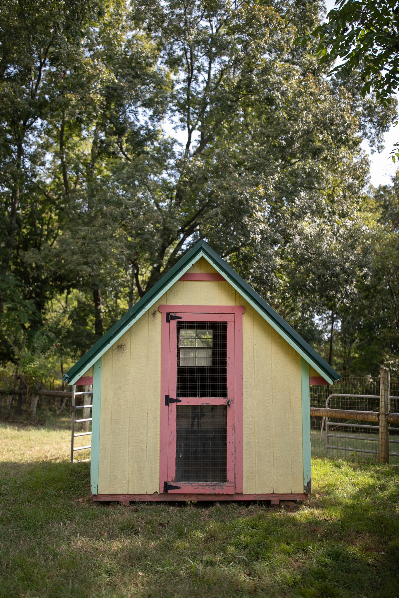 7725 Caney Fork Road Fairview, TN 37062 - Photo 52 of 58 a backyard of a house with lots of green space