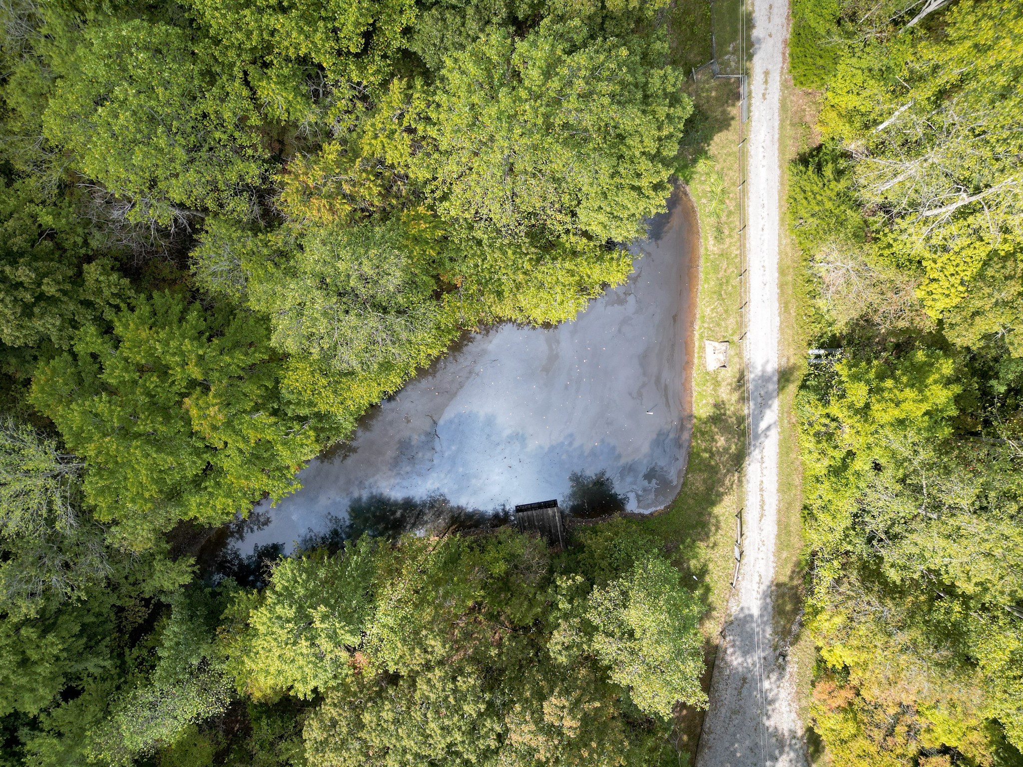 7725 Caney Fork Road Fairview, TN 37062 - Photo 55 of 58
