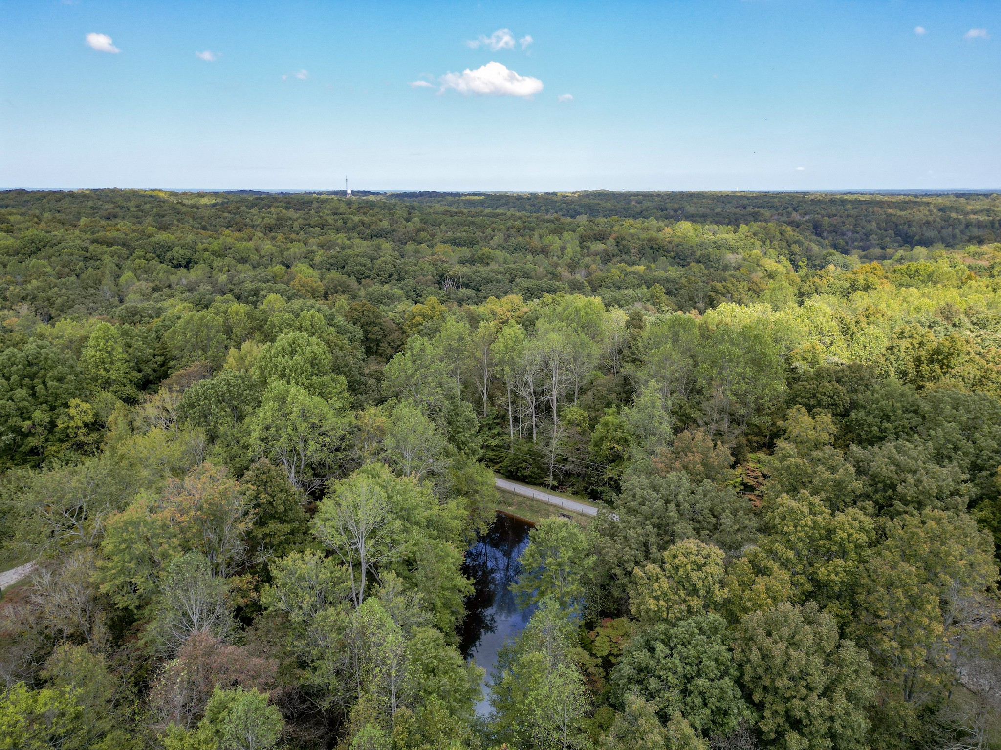 7725 Caney Fork Road Fairview, TN 37062 - Photo 56 of 58 an aerial view of residential houses with outdoor space and trees