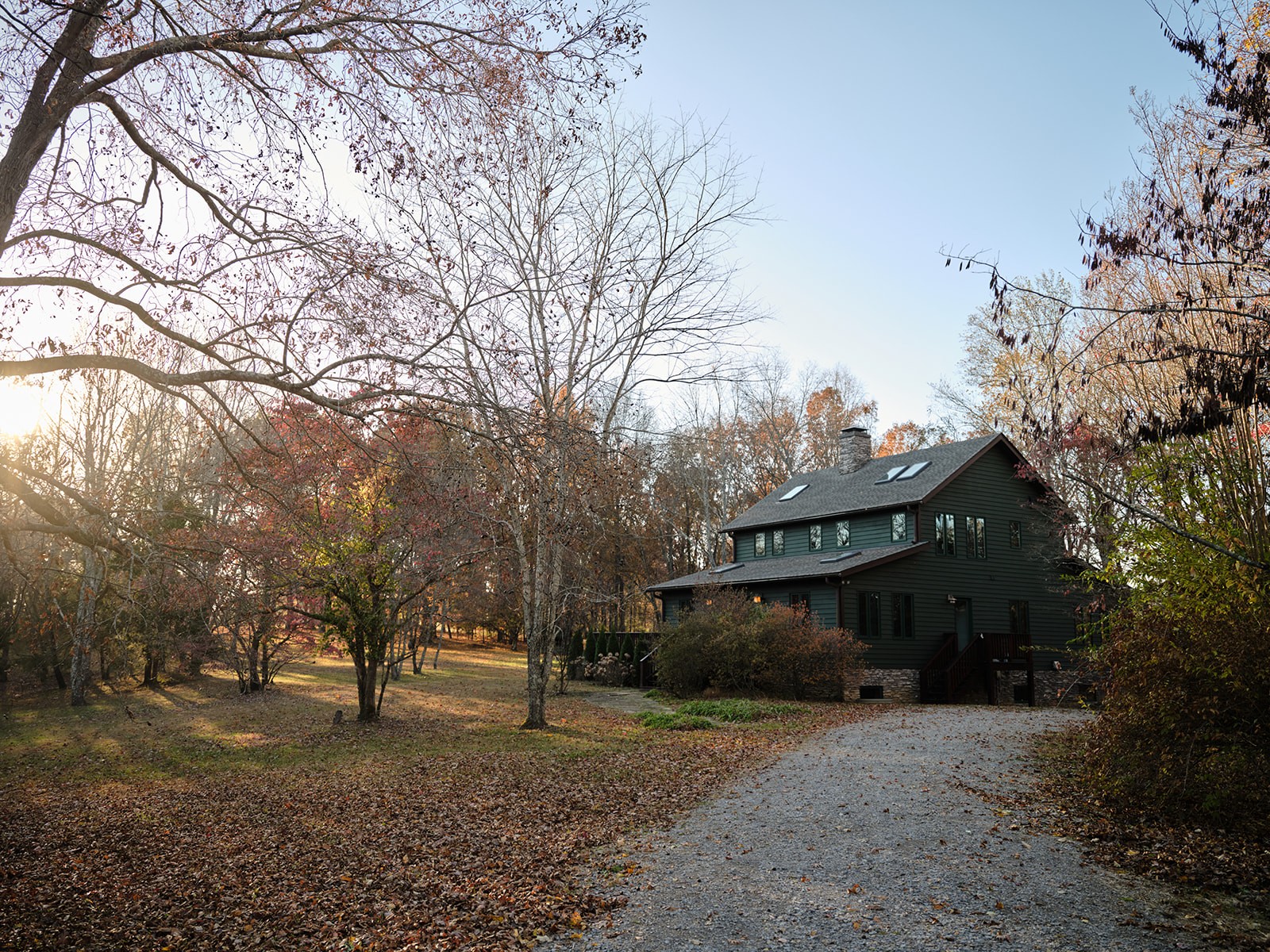 7725 Caney Fork Road Fairview, TN 37062 - Photo 6 of 58 a view of a large yard with plants and trees