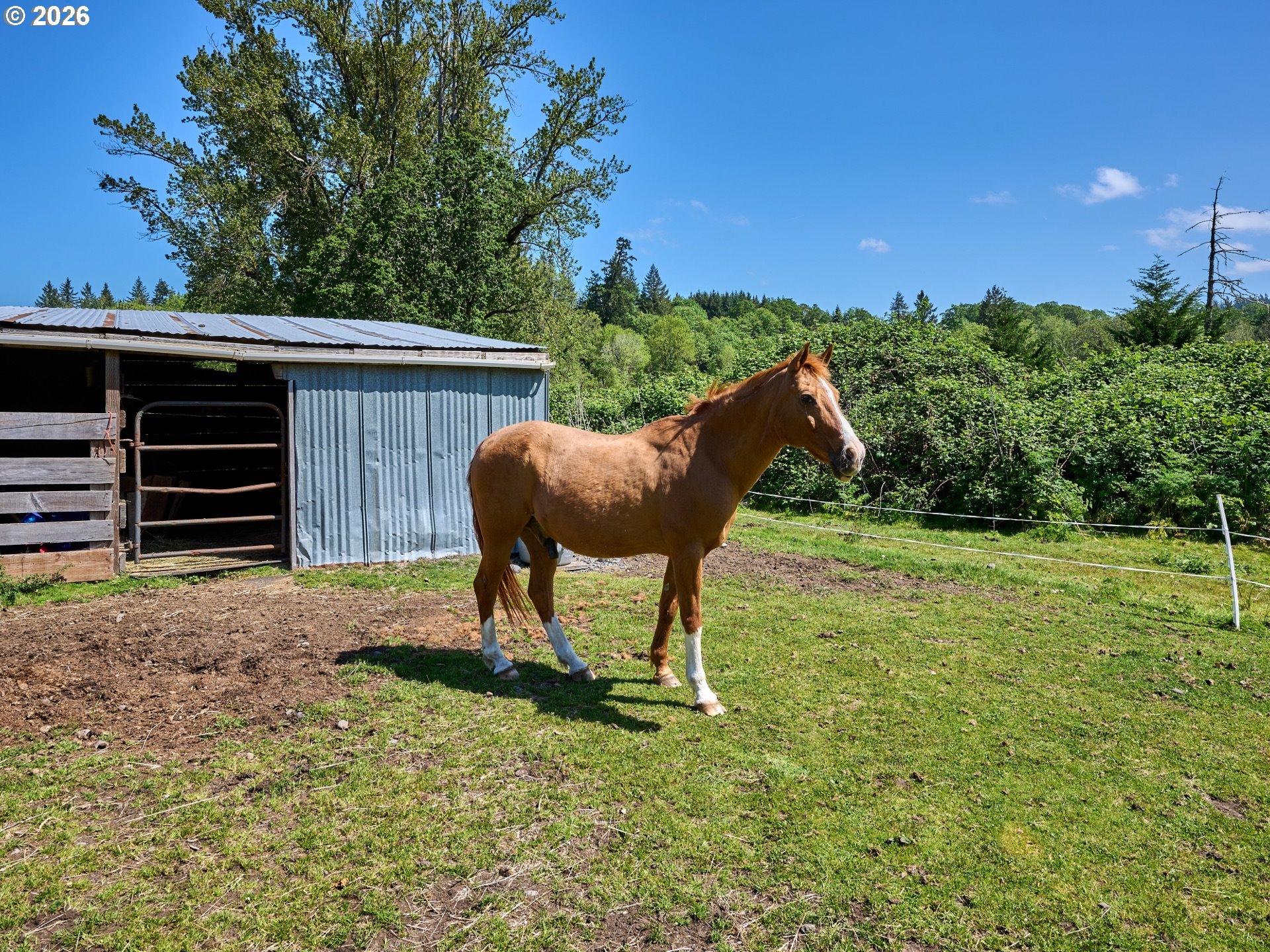 34846 South Dickey Prairie Road, Unit 1 Molalla, OR 97038 - Photo 38 of 48