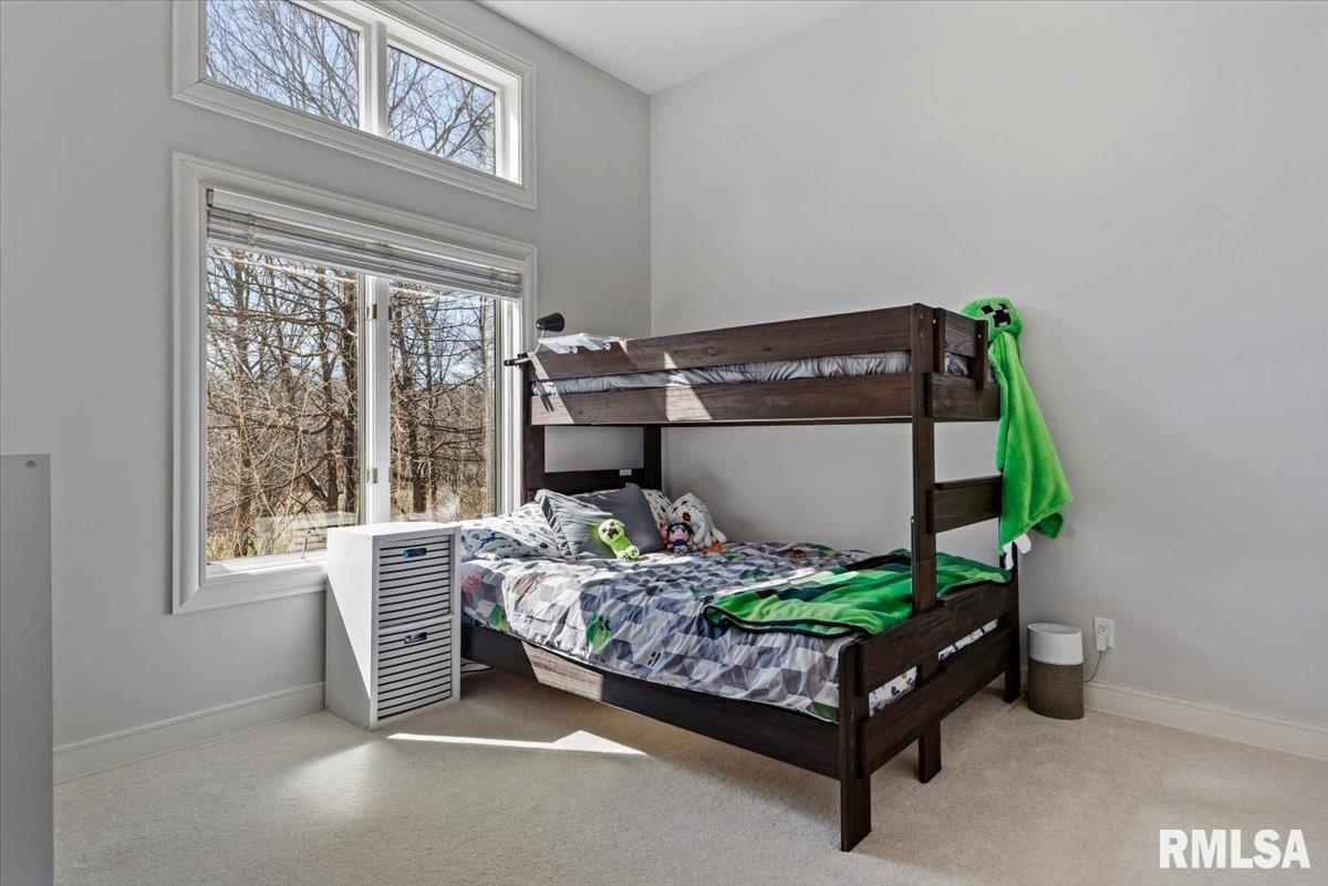 8 Riverwood Drive Rochester, IL 62563 - Photo 42 of 65