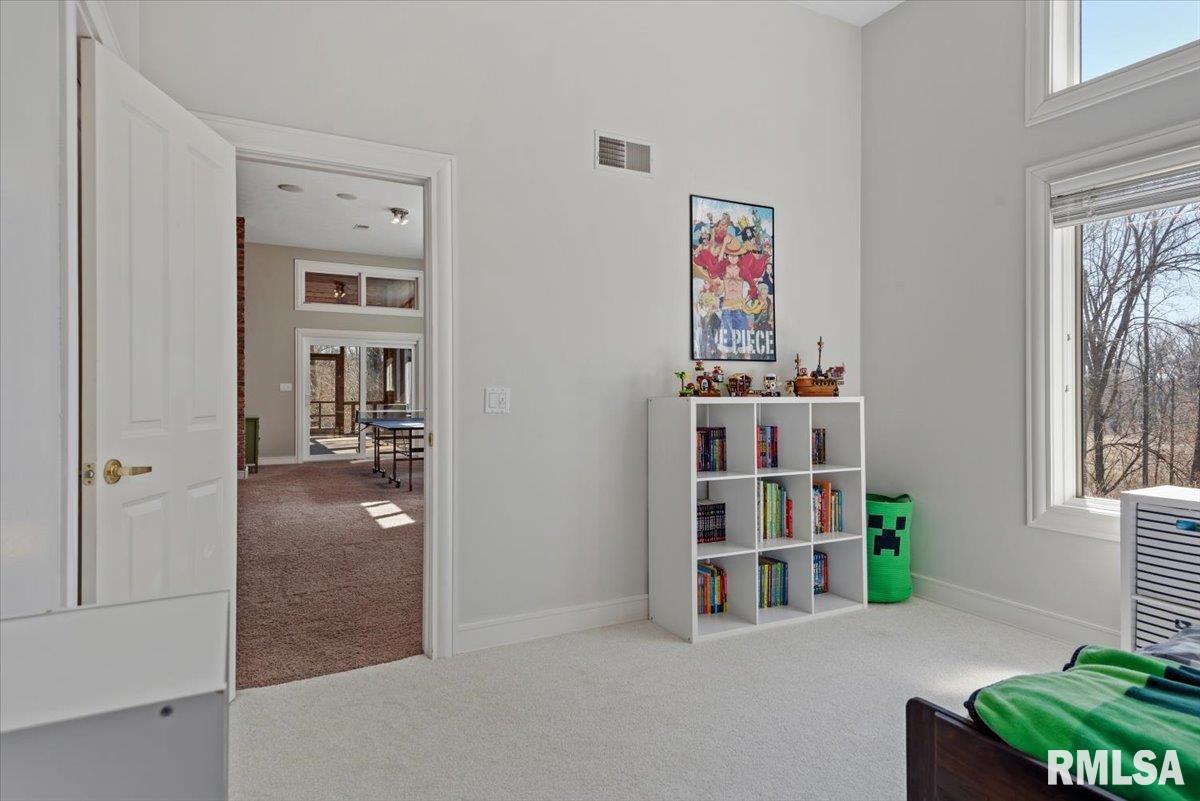 8 Riverwood Drive Rochester, IL 62563 - Photo 43 of 65