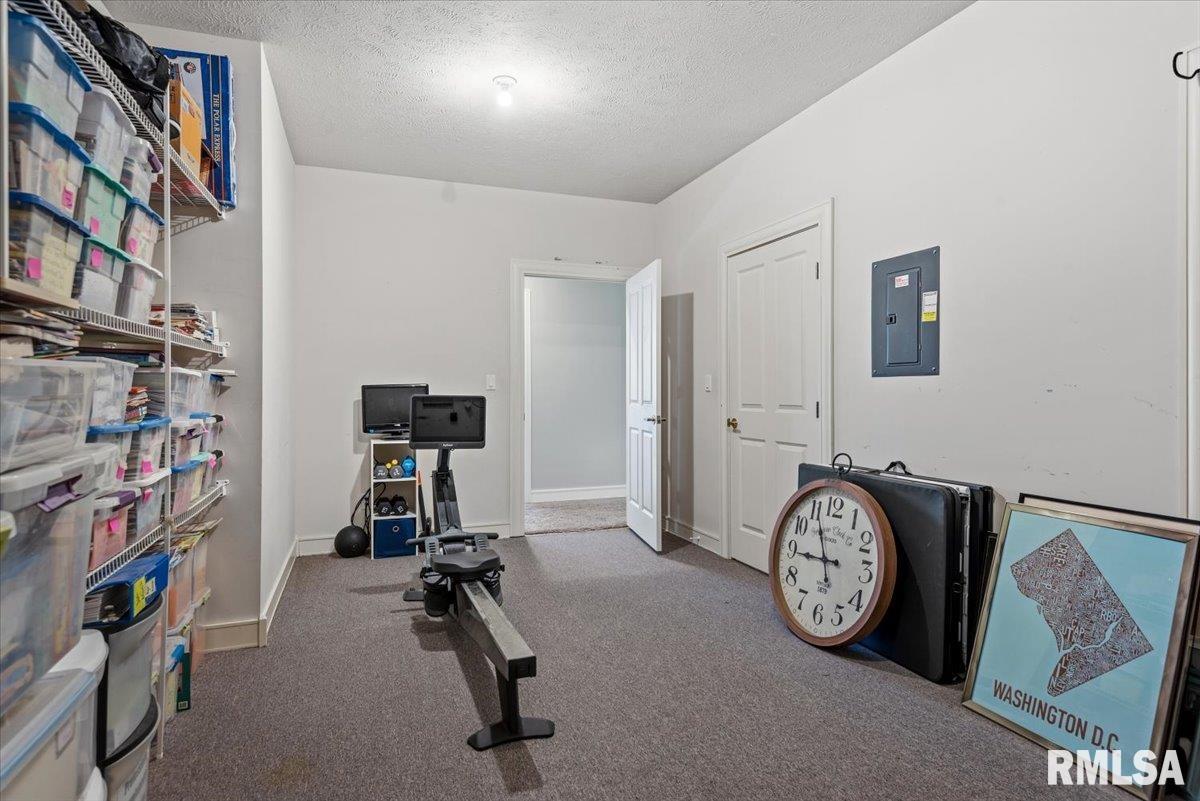 8 Riverwood Drive Rochester, IL 62563 - Photo 48 of 65