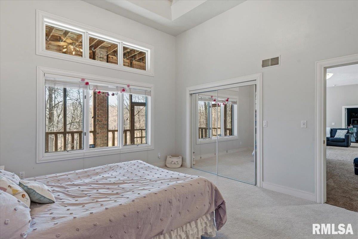 8 Riverwood Drive Rochester, IL 62563 - Photo 53 of 65