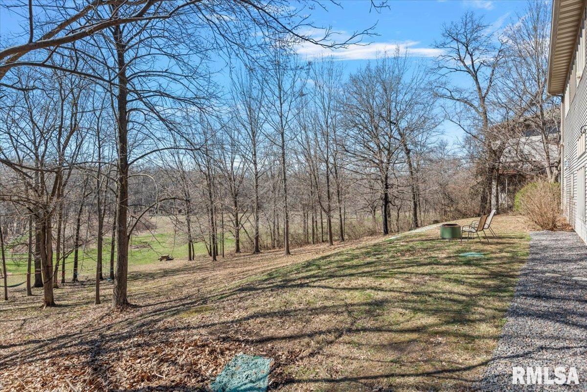 8 Riverwood Drive Rochester, IL 62563 - Photo 56 of 65