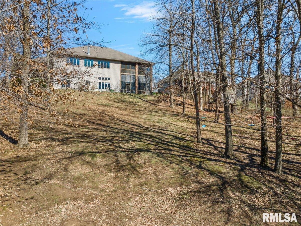 8 Riverwood Drive Rochester, IL 62563 - Photo 58 of 65