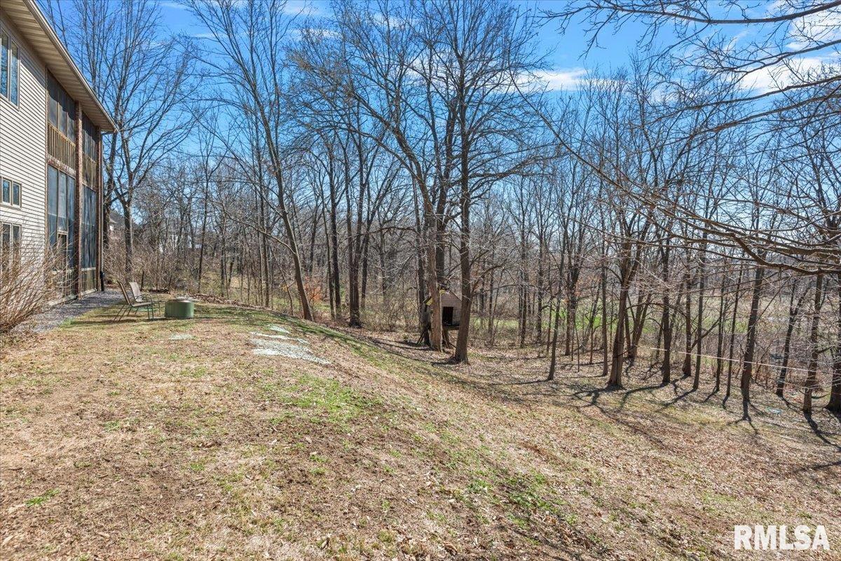 8 Riverwood Drive Rochester, IL 62563 - Photo 59 of 65