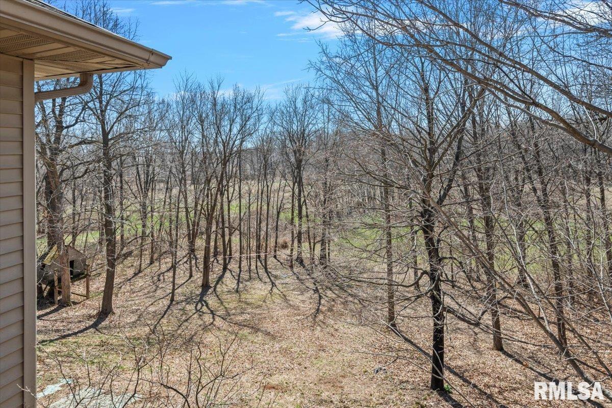 8 Riverwood Drive Rochester, IL 62563 - Photo 60 of 65