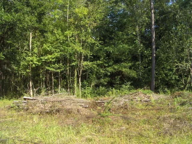 $31,500 | 411 Preschool Road, Ridgeland, SC 29936