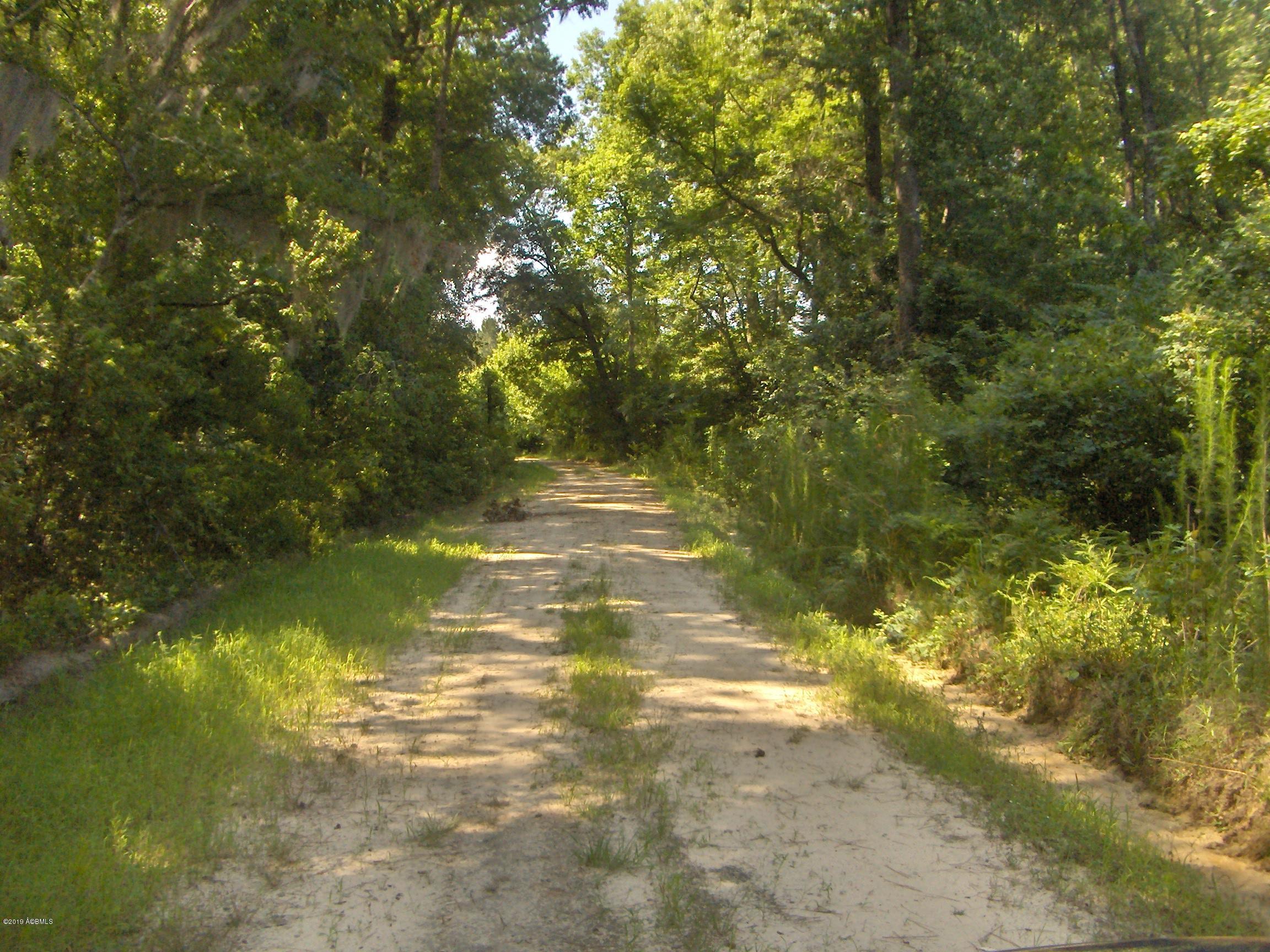 411 Preschool Road Ridgeland, SC 29936 - Photo 2 of 4 HPIM6336