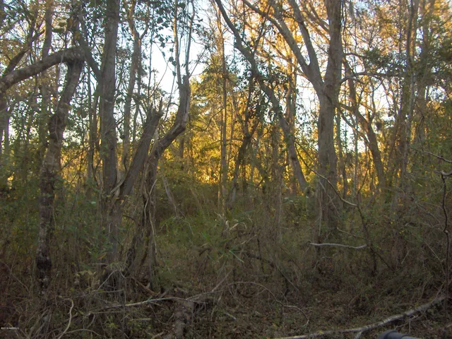 $31,500 | 411 Preschool Road, Ridgeland, SC 29936