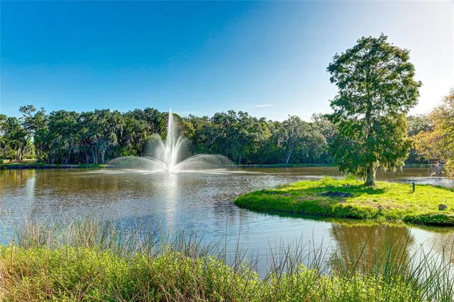 a view of a water pond with green yard