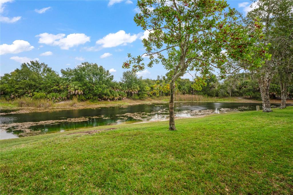 7536 Heather Walk Drive Weeki Wachee, FL 34613 - Photo 38 of 65