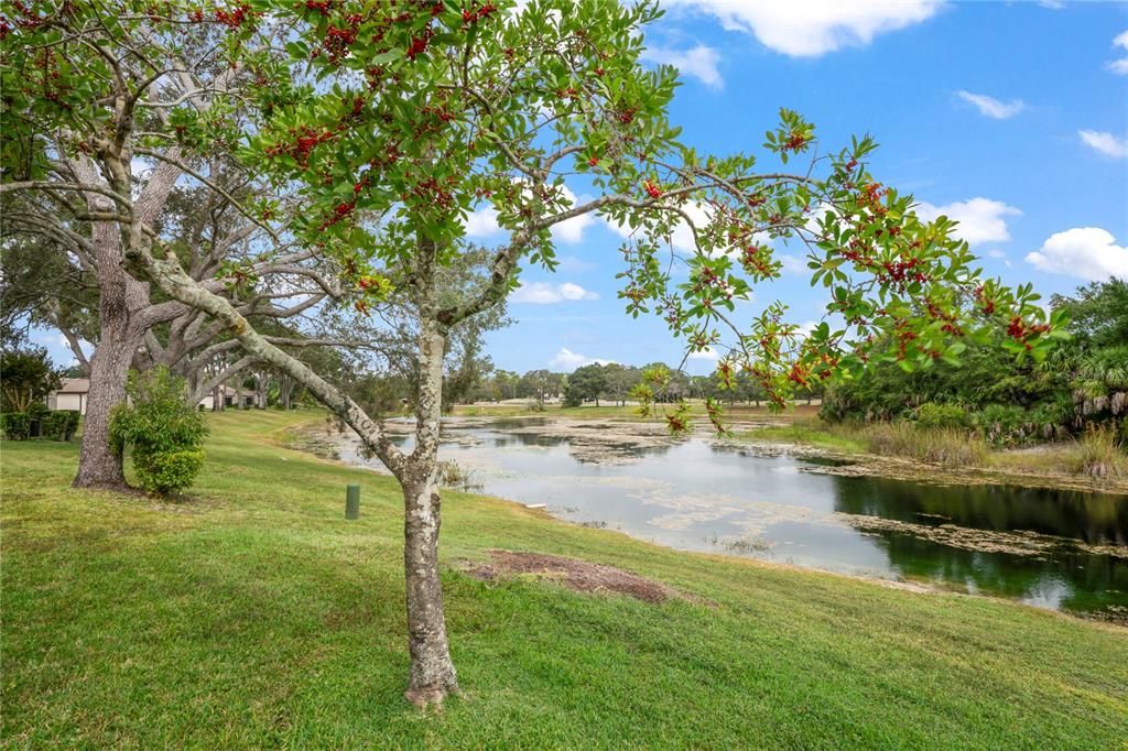 7536 Heather Walk Drive Weeki Wachee, FL 34613 - Photo 41 of 65
