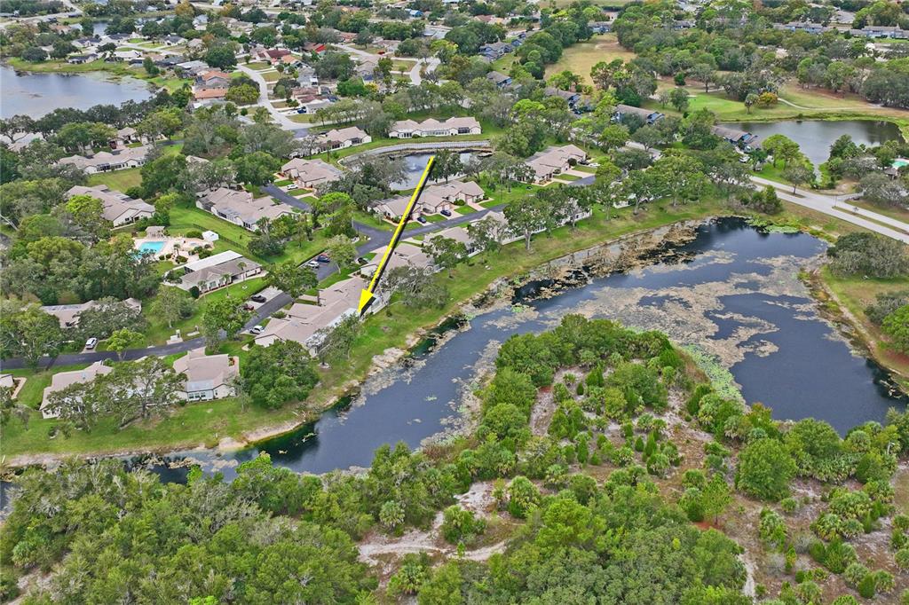 7536 Heather Walk Drive Weeki Wachee, FL 34613 - Photo 58 of 65