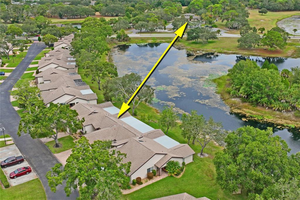 7536 Heather Walk Drive Weeki Wachee, FL 34613 - Photo 59 of 65