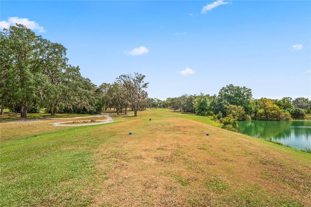 7536 Heather Walk Drive Weeki Wachee, FL 34613 - Photo 64 of 65