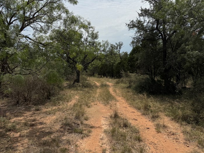 159 Mormon Creek Road Doss, TX 78618 - Photo 26 of 29
