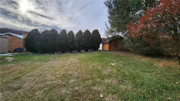 a view of a backyard