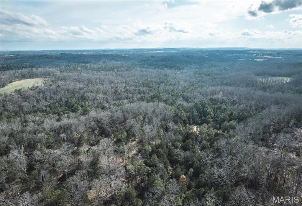 5262 Pinkston Road Ste. Genevieve, MO 63670 - Photo 18 of 83